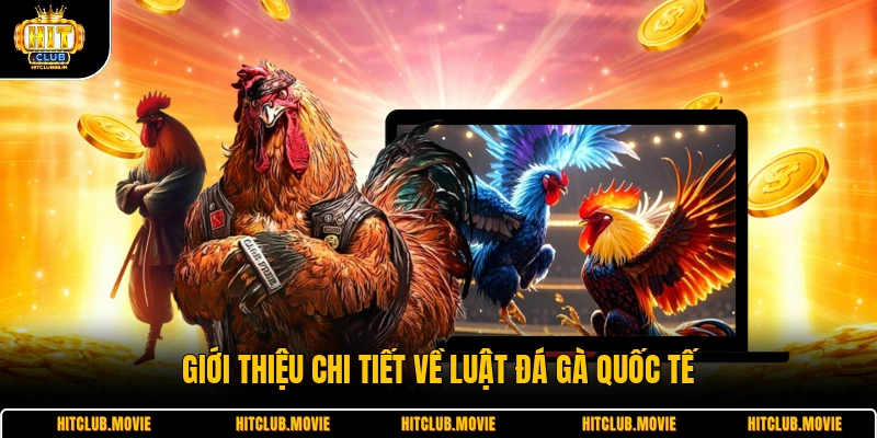 Giới thiệu chi tiết về luật đá gà quốc tế