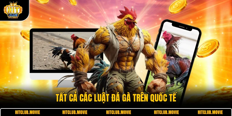 Tất cả các luật đá gà trên quốc tế